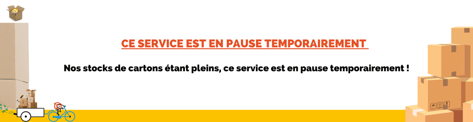 Offre Promo (970 × 250 px)